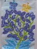 herbier03