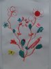 herbier05