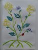 herbier06