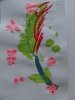 herbier11
