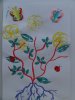 herbier14