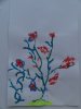 herbier16