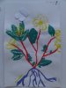 herbier17