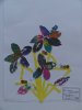 herbier20