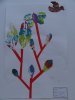herbier21