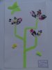 herbier23