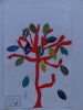 herbier28