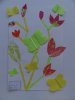 herbier29