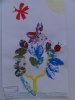herbier32