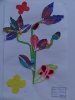 herbier47