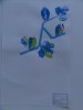 herbier48