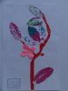 herbier49