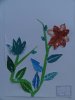 herbier51