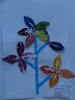 herbier52