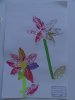 herbier55