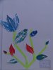 herbier61