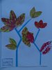herbier66