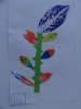 herbier68